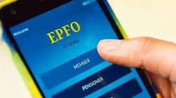 For 190 million EPF account holders heres some good news EPFO to pay 8.15 interest