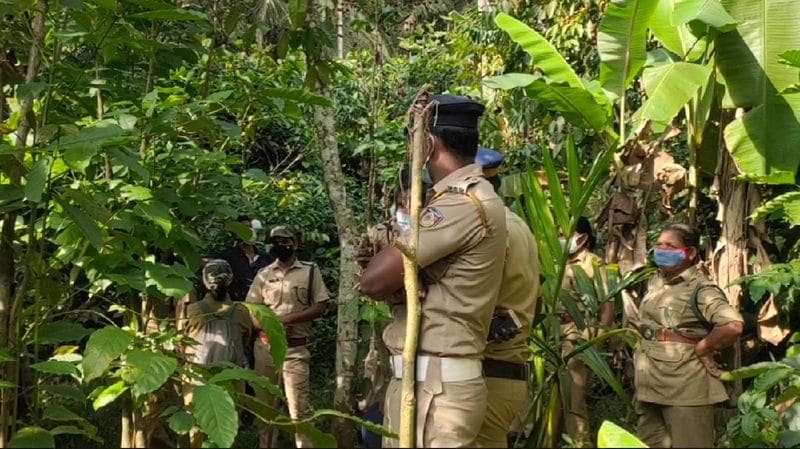tiger found again at Poothikkad near Sultan Bathery wayanad