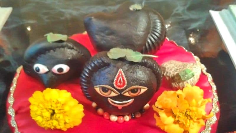 How to worship Shaligram at home and mistakes should not be done