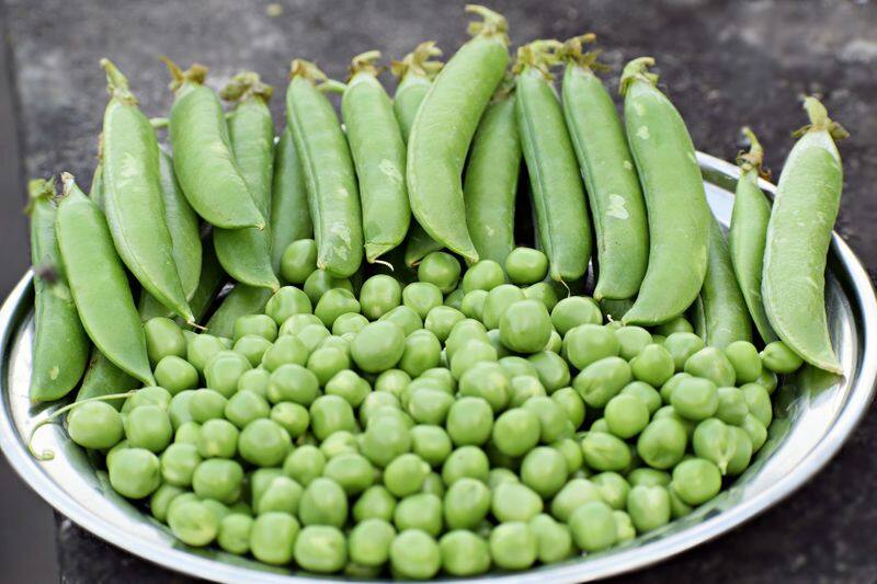 Effective benefits will be surprised to know the nutritional value of peas BDD
