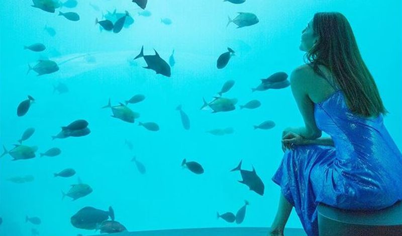 kajalagarwal enjoy honemoon without spending money?