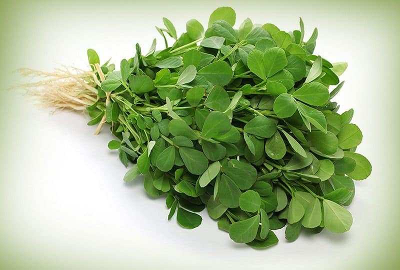 know about the nutritional value of fenugreek leaves with several benefits BDD