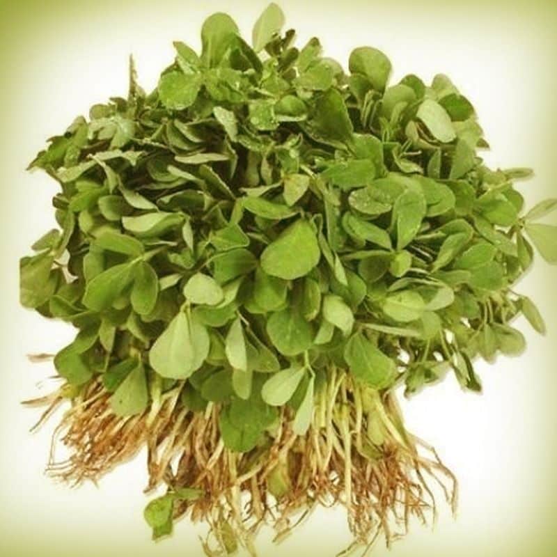 know about the nutritional value of fenugreek leaves with several benefits BDD