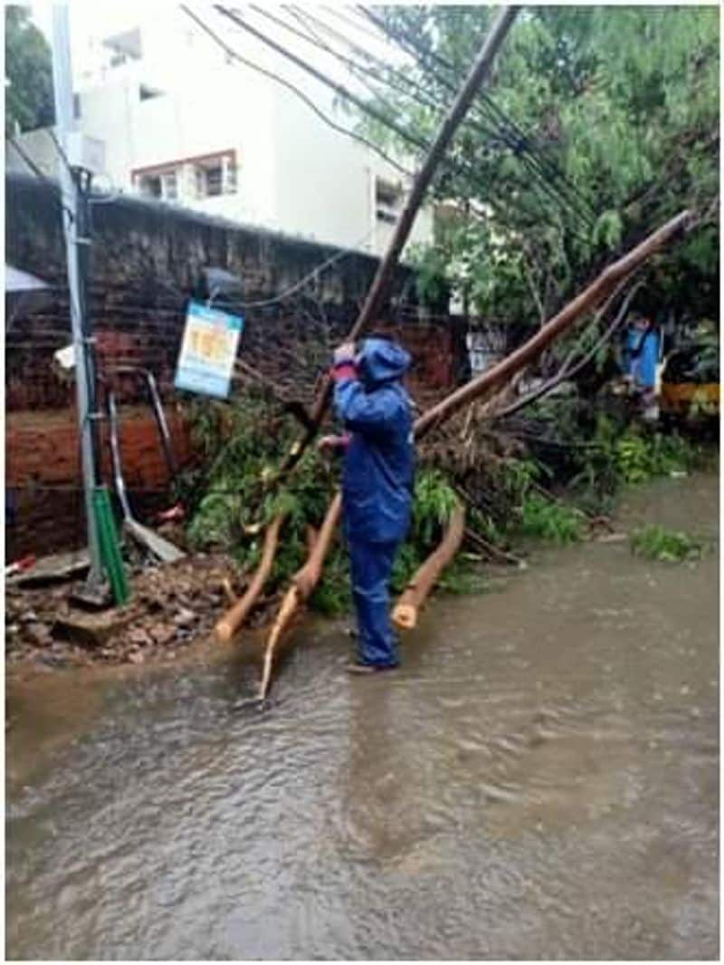 Nivar Cyclone...Road closure in Chennai