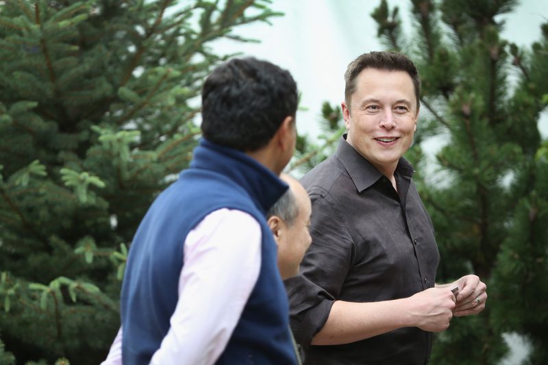 उन्होंने अपने भाई के साथ मिलकर सॉफ्टवेयर हाउस बनाने का फैसला किया। उन्होंने Zip2 नाम स एक कंपनी शुरू की। फिर तीन साल बाद उन्होंने कंपनी को बेच दिया। फिर एलन ने 1999 में X.Com के नाम से ऑनलाइन बैंक की शुरुआत की। 2000 में उन्होंने अपने बैंक को एक और कंपनी Confinity में शामिल कर लिया। दोनों कंपनियों के एक साथ हो जाने के बाद उन्होंने कंपनी का नया नाम PayPal रखा। इसके बाद एलन एक सफल बिजनेसमैन की सूची में शामिल हो गए। 