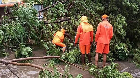 Cyclone Nivar Weakens After Landfall, Heavy Rains Lash Chennai