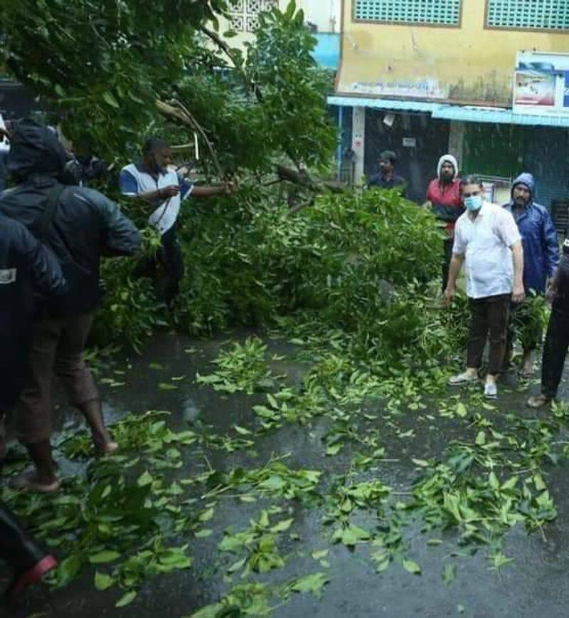 Nivar uprooted the remaining trees in Chennai .. !! For this the neelam, the kaja, the nada, as much as itself.