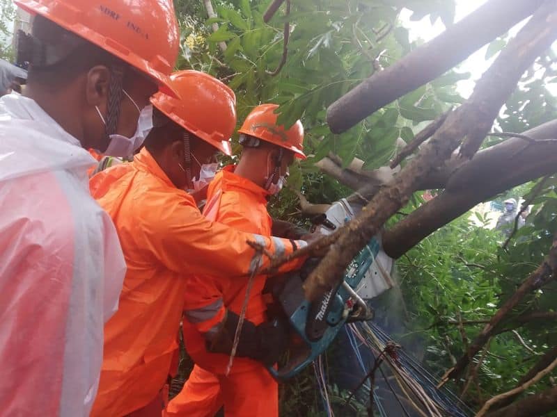 Nivar Cyclone five deaths in thamilnadu
