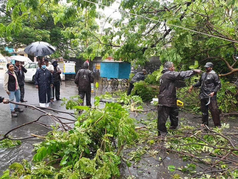 Nivar Cyclone five deaths in thamilnadu