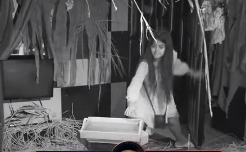 biggboss4 81th day highlights arj