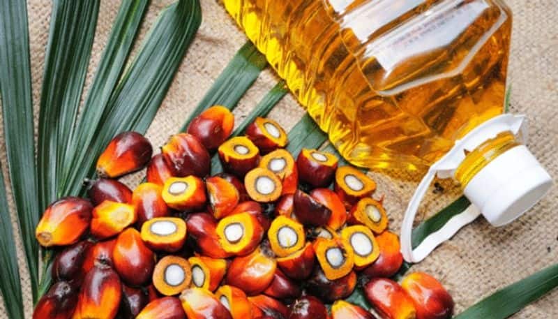 indonesia ban palm oil export :  Indonesia bans on palm oil exports 