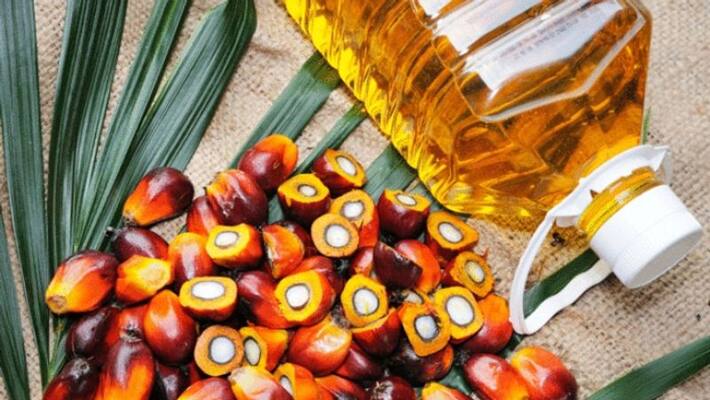 palm oil import from malaysia palm oil import from malaysia