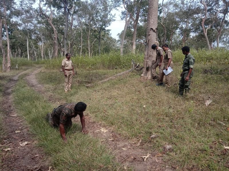 Wildlife census begins in Mudumalai wayanad