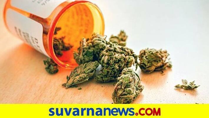 Four People Arrested For Selling Marijuana in Shivamogga grg Four People Arrested For Selling Marijuana in Shivamogga grg