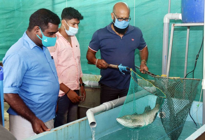 Covid 19 crisis CMFRI provides market for fish farmers