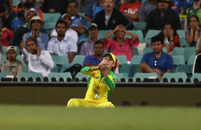 IND vs AUS: Hardik pandya, Shikhar Dhawan super innings, but Team India failed to win the 1st ODI CRA