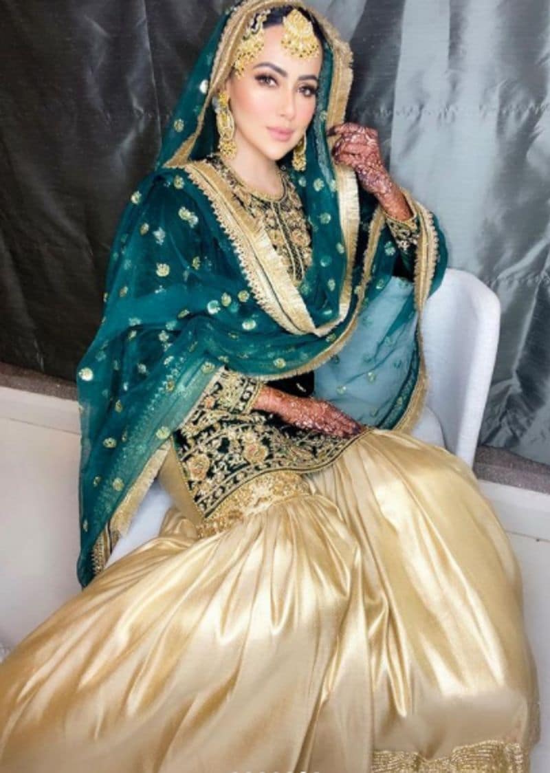 Bigg boss fame sana khan mehandi and wedding photos goes viral dpl