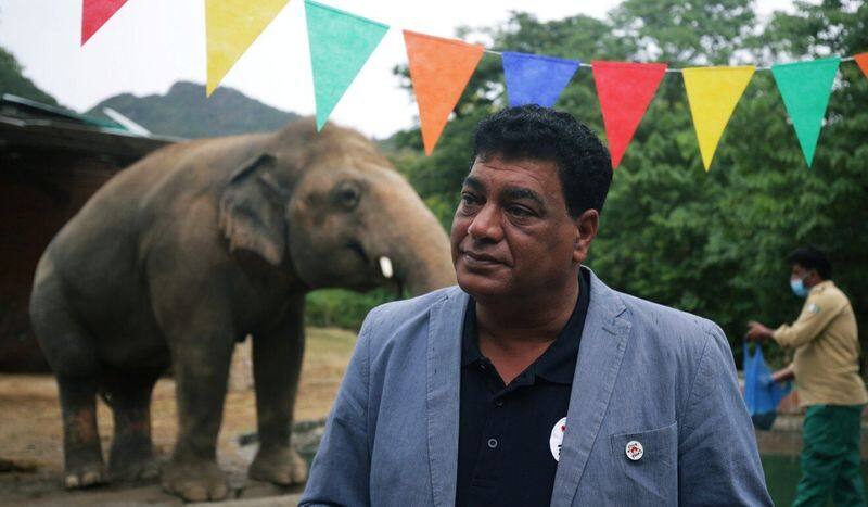 tale of kaavan the loneliest elepehant in the world