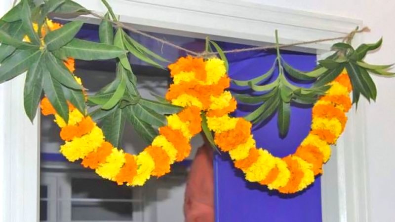 5. प्रत्येक पूर्णिमा पर घर के मुख्य दरवाजे पर आम के ताजे पत्तों से बना तोरण बांधने से घर के वातावरण में शुभता आती है।
