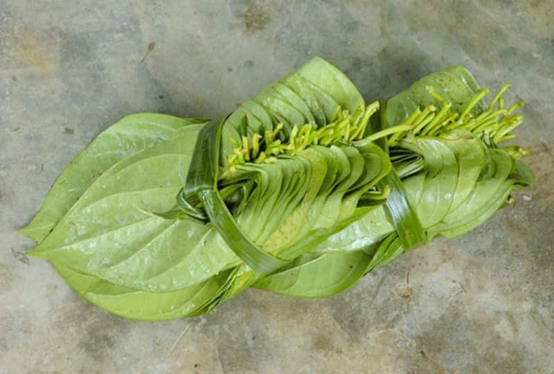 The betel leaves used in Puja can change your fortune know about the tips BDD