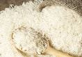 Indias rice export sees a jump by 43%