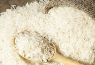 Vietnam begins purchasing rice from India after several decades