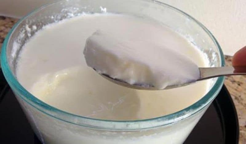 <p>এই সাধারণ উপাদানটি আমাদের প্রত্যেকের ঘরেই থাকে। তবে দেখে নিন কিভাবে ছাঁচ ছাড়াই ঘরে পাতবেন টক দই। </p>