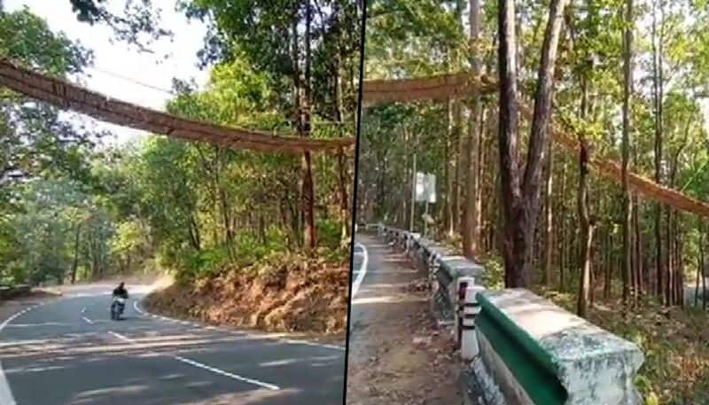 Exclusively for animals: Uttarakhand builds eco-bridge across Nainital highway