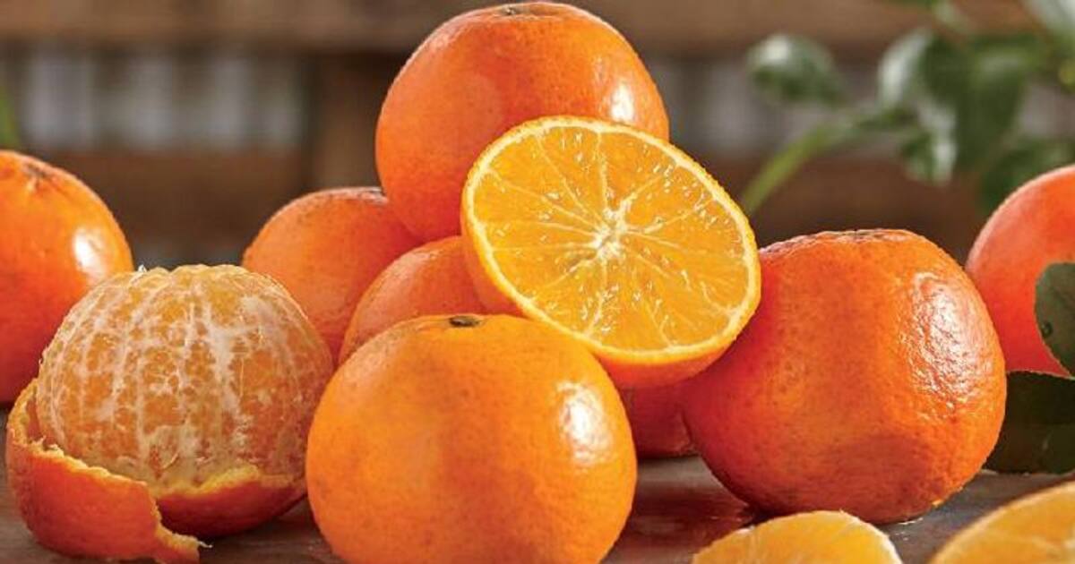 These oranges