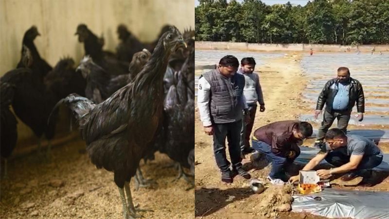 रिटायरमेंट के बाद वह कोई फैंसी बिजनेस नहीं बल्कि फार्मिंग कर रहे हैं। हाल ही में खबर आई थी कि उन्होंने अपने फार्म के लिए मध्यप्रदेश से 2 हजार कड़कनाथ चुजों का ऑर्डर किया है। वह पोल्ट्री फार्म का काम कर रहे थे।