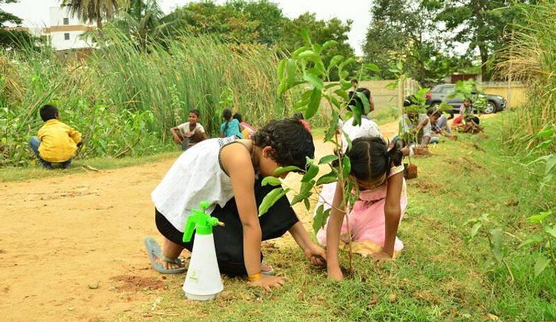 Prasiddhi Singh seven year old who planted 13000 trees