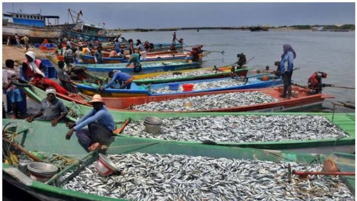Post of Assistant in Kerala Fishermen's Welfare Fund Board Head Office Post of Assistant in Kerala Fishermen's Welfare Fund Board Head Office