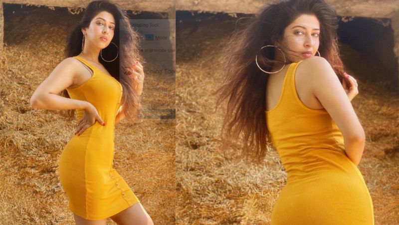 एक बार सोनारिका ने ये बताया था कि एक 23 साल के युवक ने उनका नंबर सॉफ्टवेयर की मदद से निकाल लिया था और उनको अश्लील मैसेज भेज रहा था। ये सिलसिला कई महीनों तक चलता रहा। 