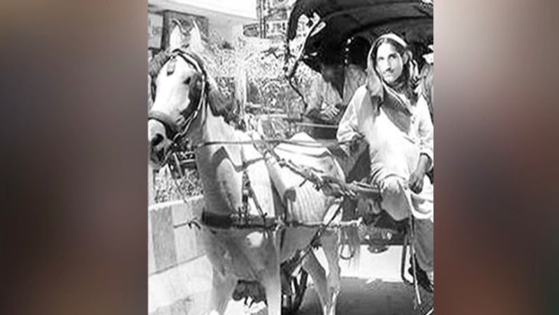 महाशय धर्मपाल का जन्म 27 मार्च, 1923 को सियालकोट में हुआ था जो पहले भारत का हिस्सा था लेकिन अब पाकिस्तान में है। साल 1933 में उन्होंने 5वीं कक्षा की पढ़ाई पूरी करने से पहले ही स्कूल छोड़ दिया और 1937 में उन्होंने अपने पिता की मदद से व्यापार शुरू किया। उसके बाद उन्होंने साबुन, बढ़ई, कपड़ा, हार्डवेयर, चावल का व्यापार किया। हालांकि वो लंबे वक्त ये काम नहीं कर सके और उन्होंने अपने पिता के साथ व्यापार शुरू कर दिया।
