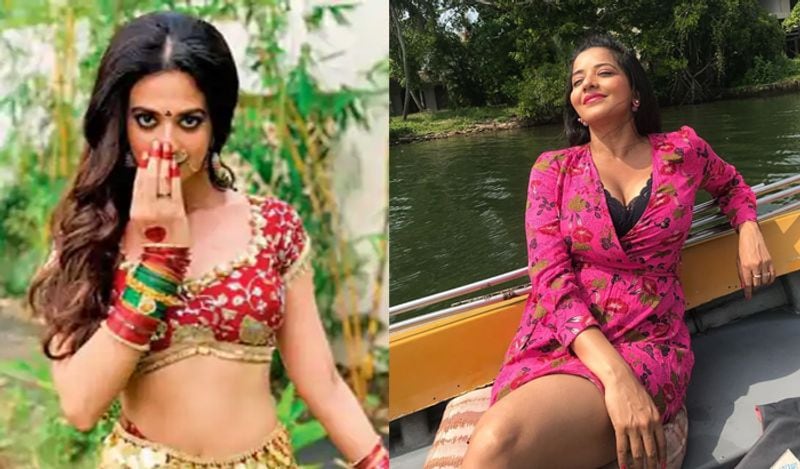 भोजपुरी फिल्मों के एक्टर आदित्य ओझा और एक्ट्रेस मोनालिसा भी इस सीरियल में हैं। मोनालिसा इस धारावाहिक में इरावती राजपूत नाम का नेगेटिव किरदार निभा रही हैं। दर्शक इससे पहले 'नजर 2' में भी मोनालिसा को वैम्प के किरदार में देख चुके हैं। 'नमक इस्क का' में फिर से एक नकारात्मक किरदार करने के बारे में मोनालिसा कहती हैं कि 'उन्हें लगता है कि टीवी में नेगेटिव किरदारों को अब काफी पसंद किया जा रहा है। इनमें एक अलग-सा बदलाव आया है।'