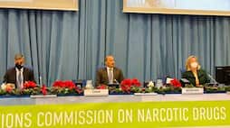 UN decides marijuana as less dangerous drug India too had voted for this move to help in medicinal use
