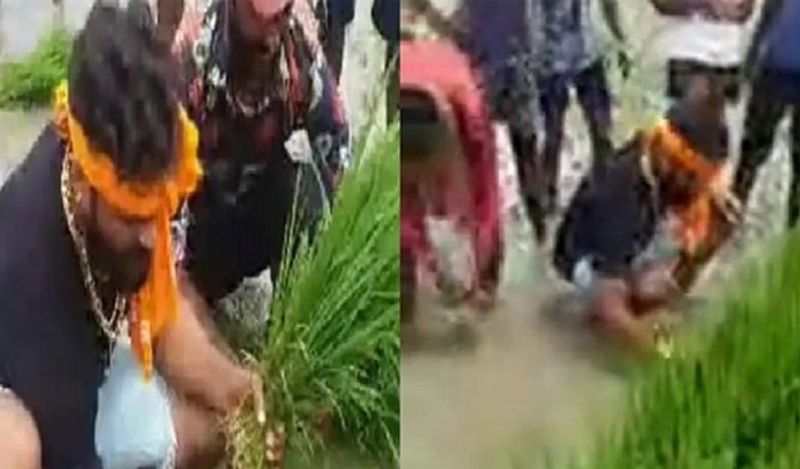 लॉकडाउन और कोरोना महामारी के दौरान किसी के पास करने के लिए किसी भी तरह का कोई काम नहीं था। ऐसे में गांव से जुड़े लोगों ने खेती में जमकर काम किया। इस फेहरिस्त में खेसारी लाल यादव भी शामिल थे।