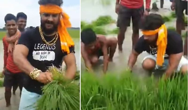 बता दें, खेसारी लॉकडाउन के दौरान अपने गांव में थे और उस दौरान धान की रोपाई का समय था। ऐसे में अपने पुराने दिन को याद करते हुए खेसारी लाल यादव पहुंच गए थे। तभी उन्होंने खेत और धान के बिचरे को निकाल कर रोपाई की थी। 