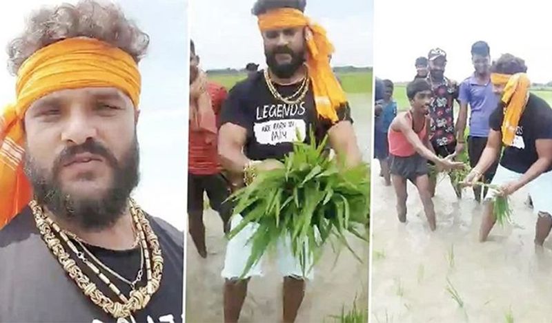 खेती करने को लेकर खेसारी ने कहा था कि वो पहले भी खेती के कार्य में शामिल होते थे। उन्होंने कहा था कि वो गांव कभी-कभी जाते रहते थे, लेकिन लॉकडाउन में उन्हें किसान भाइयों के साथ काम करके बहुत मजा आया था।
