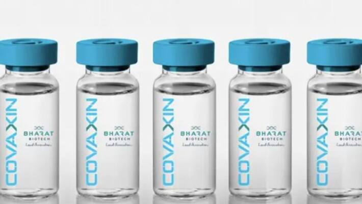 india are not guinea pigs says congress leader on covaxin rollout bsm india are not guinea pigs says congress leader on covaxin rollout bsm