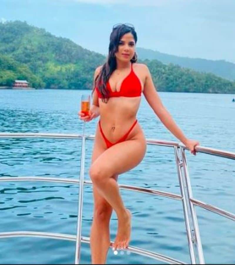 IPL 2021, hot Bikini pictures of CSK all-rounder Dwayne Bravo's Stunning Girlfriend Josanna Gonsalves spb