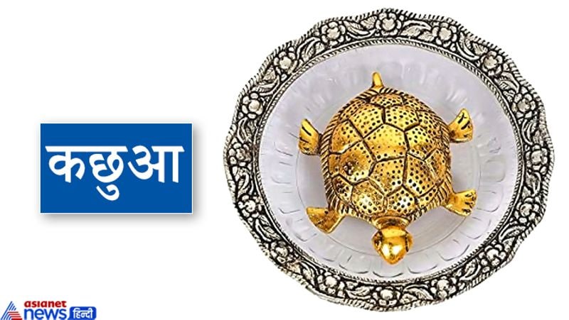 कछुआ फेंगशुई में बहुत लकी माना जाता है। कहा जाता है कि कछुआ शांति और धैर्य, धन और समृद्धि का प्रतीक माना जाता है। सिक्कों पर बैठे कछुए को आप अपने वर्कप्लेस पर भी रख सकते हैं।