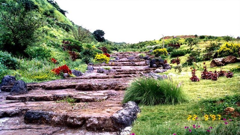 धर्मेंद्र के फार्महाउस पर कई सारी भैसें भी हैं। कई बार उन्होंने ऐसी फोटोज भी शेयर की हैं जिसमें वे गाय का दूध निकालते तो कभी अपने पालतू डॉग के साथ खेलते नजर आ रहे हैं।