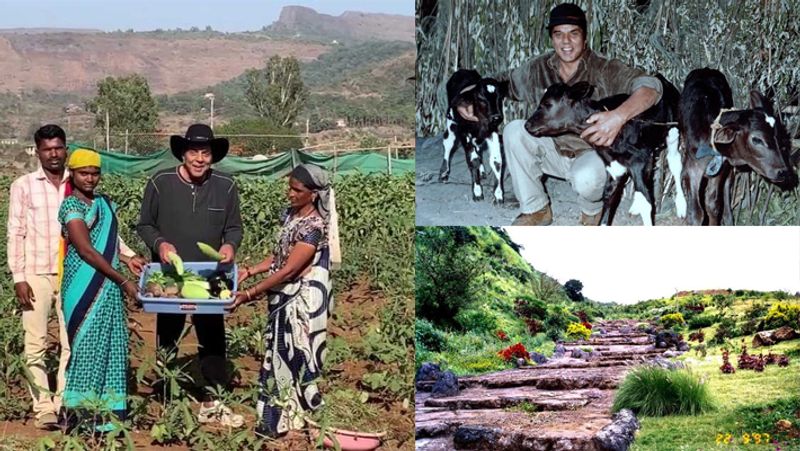 धर्मेंद्र मुंबई के पास लोनावाला स्थित फार्म हाउस में फुर्सत के पल बिताते हैं। उन्होंने अपने फॉर्महाउस की कई फोटोज अपने इंस्टाग्राम पर शेयर कर रखी हैं।