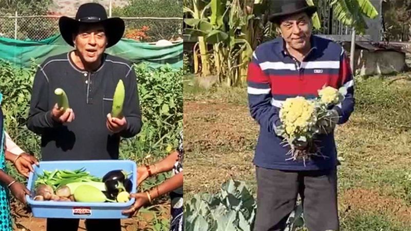 इतना ही नहीं, उनके फार्महाउस के आसपास पहाड़ और झरने हैं। साथ ही उनकी अपनी 1000 फीट गहरी झील भी है। एक इंटरव्यू के दौरान धर्मेंद्र ने कहा था, "मैं जाट हूं और जाट जमीन और अपने खेतों से प्यार करता है। मेरा ज्यादातर समय लोनावाला स्थित अपने फार्म हाउस पर ही बीतता है। हमारा फोकस ऑर्गेनिक खेती पर है, हम चावल और सब्जियां उगाते हैं।"