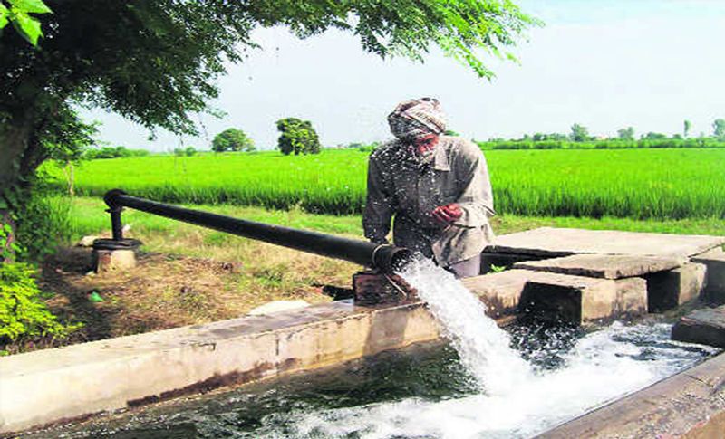 कल तक जिस जमीन में कंकड-पत्थर दिखाई देते थे अब वहां सोना उग रहा है। यानि 4 से 5 एकड़ का किसान लाखों रुपए की खेती करने लगा। किसान सरपंच सुमन देवी की तारीफ करते नहीं थकते हैं। वह ही कहते हैं कि सरपंच ने हमारी जमीन को सोने उगाने वाली बना दिया।
.....................