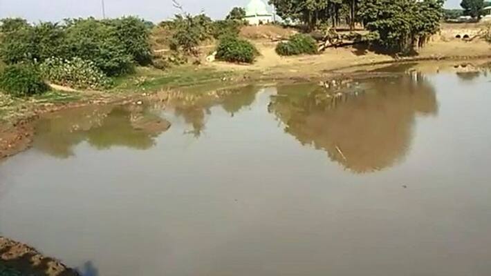 UPs moradabad officials using fishes to fight against malaria dengue UPs moradabad officials using fishes to fight against malaria dengue