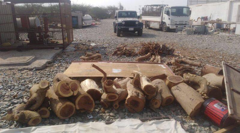 69 people arrested for firewood sale in saudi
