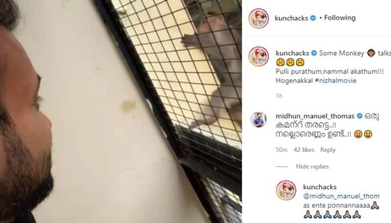 kunchacko boban share funny video with monkey