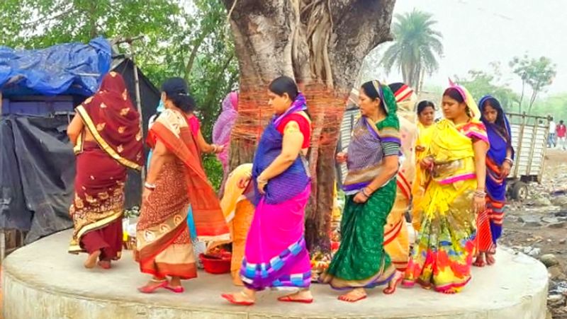 4. सोमवती अमावस्या पर पीपल के पेड़ की 7 परिक्रमा कर जल चढ़ाने से हर समस्या का समाधान हो सकता है। क्योंकि पीपल में सभी देवताओं का वास माना जाता है।

